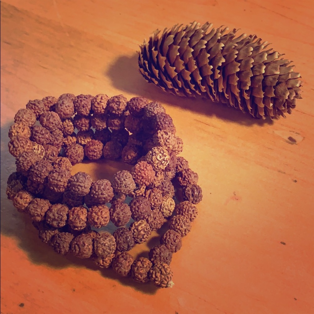 Rudraksha beads